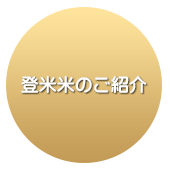 登米米のご紹介